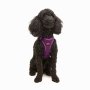 Paws & Whiskers Am za pse Air Mesh Purple XS - slika 2