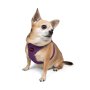 Paws & Whiskers Am za pse Air Mesh Purple XS - slika 3