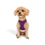 Paws & Whiskers Am za pse Air Mesh Purple XS - slika 1