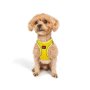Paws & Whiskers Am za pse Air Mesh Yellow XS - slika 4