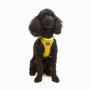 Paws & Whiskers Am za pse Air Mesh Yellow XS - slika 1