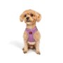 Paws & Whiskers Am za pse Air Mesh Lilac S - slika 4