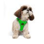 Paws & Whiskers Am za pse Air Mesh Neo Green S - slika 5