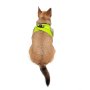 Paws & Whiskers Am za pse Air Mesh Neo Lime S - slika 2