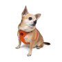 Paws & Whiskers Am za pse Air Mesh Neo Orange S - slika 2