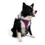 Paws & Whiskers Am za pse Air Mesh Purple S - slika 4