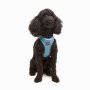 Paws & Whiskers Am za pse Air Mesh Blue M - slika 1