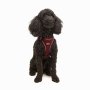 Paws & Whiskers Am za pse Air Mesh Claret Red L - slika 2