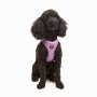 Paws & Whiskers Am za pse Air Mesh Lilac L - slika 1