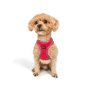 Paws & Whiskers Am za pse Air Mesh Neo Pink L - slika 3