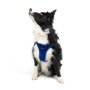 Paws & Whiskers Am za pse Air Mesh Sax Blue L - slika 5