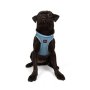 Paws & Whiskers Am za pse Air Mesh Blue XL - slika 5