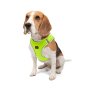 Paws & Whiskers Am za pse Air Mesh Neo Lime XL - slika 3