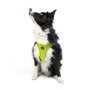 Paws & Whiskers Am za pse Air Mesh Neo Lime XL - slika 5
