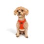 Paws & Whiskers Am za pse Air Mesh Neo Orange XL - slika 4