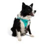 Paws & Whiskers Am za pse Air Mesh Ocean XL - slika 4