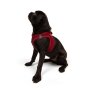 Paws & Whiskers Am za pse Air Mesh Red XL - slika 3