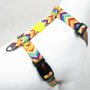 Paws & Whiskers Am za pse Rainbow XS - slika 1