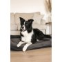 Paws & Whiskers Krevet za ljubimce Sally Dog 95 x 115 Anthracite - slika 1