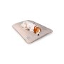 Paws & Whiskers Krevet za ljubimce Puppy Dog M Cream - slika 1