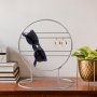 WALLXPERT Organizer za nakit TK 008 A - slika 3