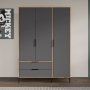 HANAH HOME Garderober Aden Drawers 120 Oak Anthracite - slika 2