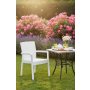 HANAH HOME Baštenska stolica Rattan Royale White - slika 1
