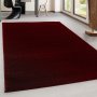 Conceptum Hypnose Tepih staza (80x150) Ata 7000 Red - slika 1