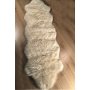 Conceptum Hypnose Tepih staza (80x150) A Post Cift Kafa Cream - slika 1