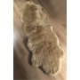 Conceptum Hypnose Tepih staza (80x150) A Post Cift Kafa Camel - slika 1