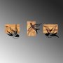 WALLXPERT Dekorativni drveni zidni dodatak Free Birds 333 - slika 5