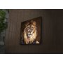 WALLXPERT Dekorativno LED osvetljeno platno sa slikanjem 4040IACT 20 - slika 3