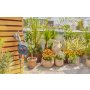 GARDENA Tajmer za vodu Easy Plus - slika 4