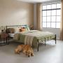 ModernHome Krevet sa metalnim ramom 160x200 cm sa podnicom Black Frame (DNYSF165B) - slika 1