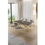 HANAH HOME Set trpezarijskog stola i stolica (5 delova) Olya Anthracite Gold Grey - slika 2