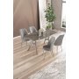 HANAH HOME Set trpezarijskog stola i stolica (5 delova) Lena Anthracite Chrome Grey - slika 2