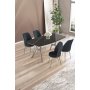 HANAH HOME Set trpezarijskog stola i stolica (5 delova) Lena Black Marble Chrome Anthracite - slika 1