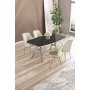 HANAH HOME Set trpezarijskog stola i stolica (5 delova) Lena Black Marble Chrome Cream - slika 1