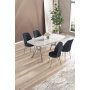 HANAH HOME Set trpezarijskog stola i stolica (5 delova) Lena White Marble Chrome Anthracite - slika 1