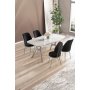 HANAH HOME Set trpezarijskog stola i stolica (5 delova) Lena White Marble Chrome Black - slika 1