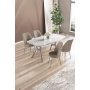 HANAH HOME Set trpezarijskog stola i stolica (5 delova) Lena White Marble Chrome Cappuccino - slika 1