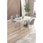 HANAH HOME Set trpezarijskog stola i stolica (5 delova) Lena White Marble Chrome Grey - slika 1