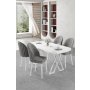 HANAH HOME Set trpezarijskog stola i stolica (5 delova) Kaye White Grey - slika 1