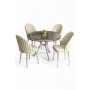 HANAH HOME Set trpezarijskog stola i stolica (5 delova) Mos Anthracite Chrome Cream - slika 1