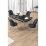 HANAH HOME Set trpezarijskog stola i stolica (5 delova) Rewa Black Marble Chrome Anthracite - slika 2