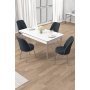 HANAH HOME Set trpezarijskog stola i stolica (5 delova) Rewa White Chrome Anthracite - slika 1