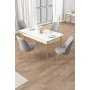 HANAH HOME Set trpezarijskog stola i stolica (5 delova) Rewa White Gold Grey - slika 1
