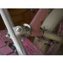 ARISTOM 722-12 Nina Rose Dečiji bicikl roze OUTLET - slika 4