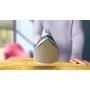 PHILIPS Pegla 2000 DST2010/90 2000W/25gr/keramika - slika 3