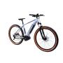 CAPRIOLO Volta 9.4 E-bike 29'' sivi (926801-18) - slika 2